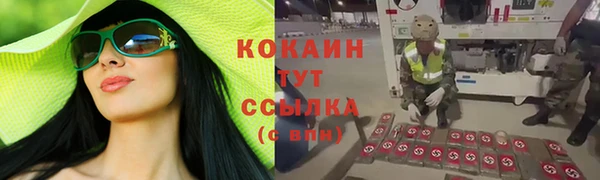 дмт Осташков