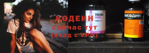 дживик Переславль-Залесский