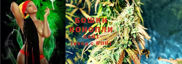 дмт Осташков