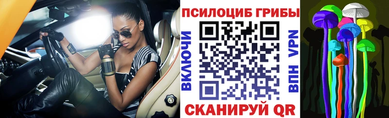 купить наркотик mega как зайти Галлюциногенные грибы Magic Shrooms Новоузенск